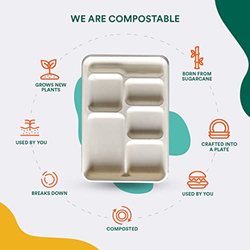 Biodegradable 6 Compartment Disposable Meal Tray