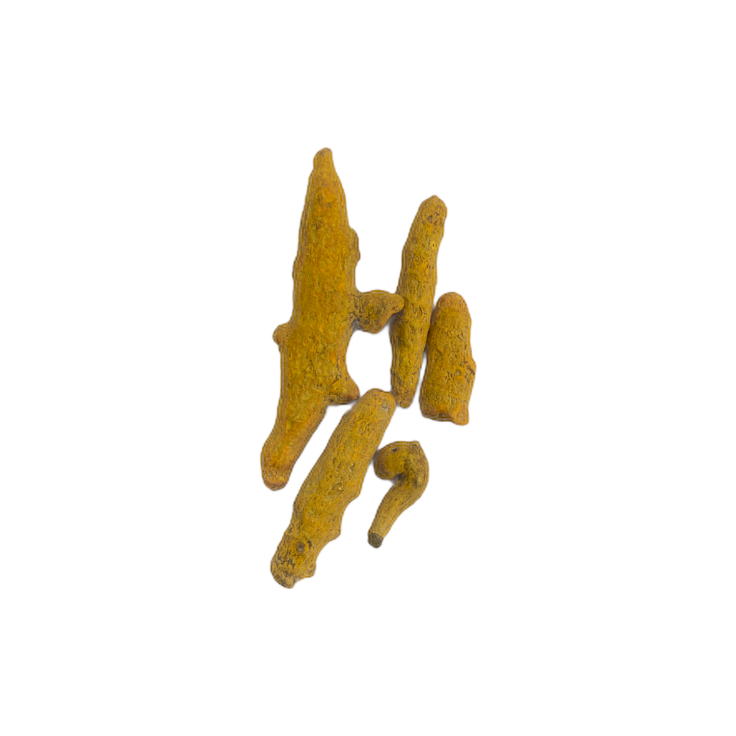 Turmeric Roots