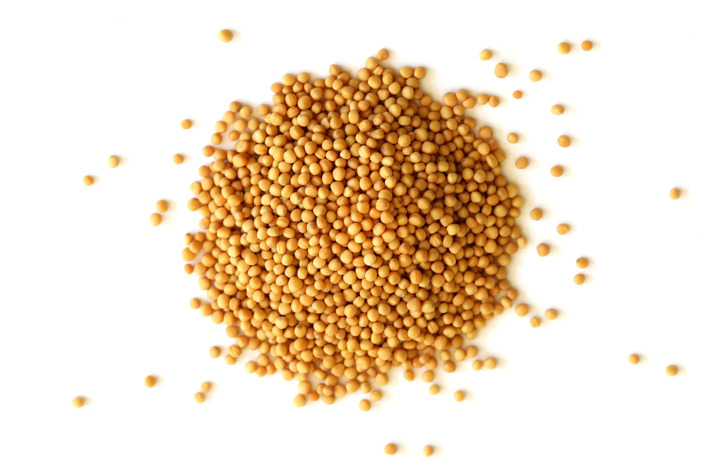 Yellow Mustard Seeds (Peeli Sarso) for Pooja