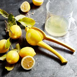 JoyCook Lemon Squeezer